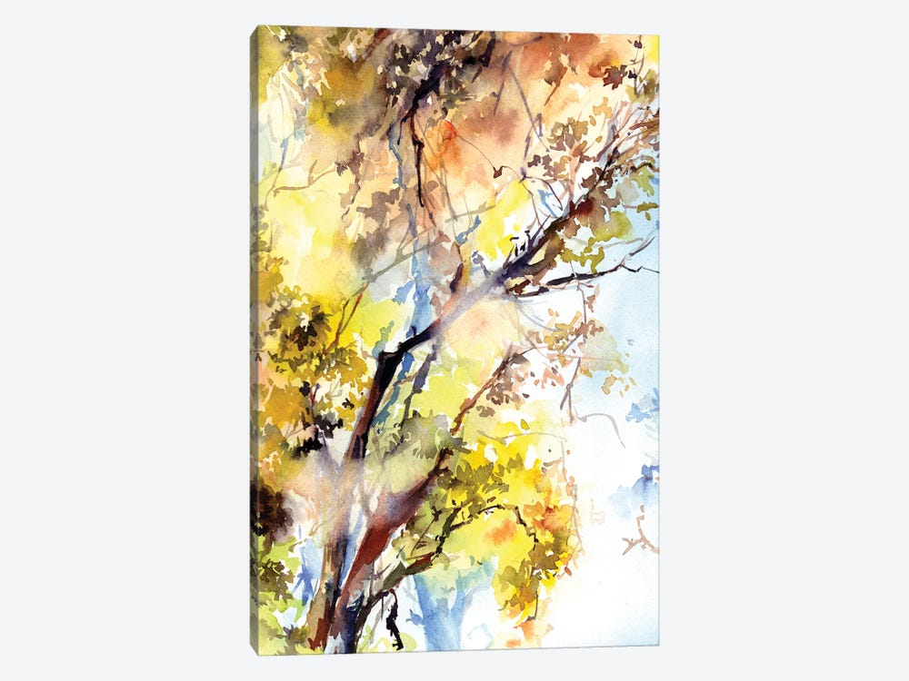 Sunlight Forest I by Sophie Rodionov 1-piece Canvas Wall Art