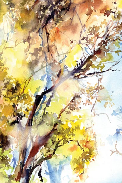 Refreshing Workspace: Sunlight Forest I by Sophie Rodionov