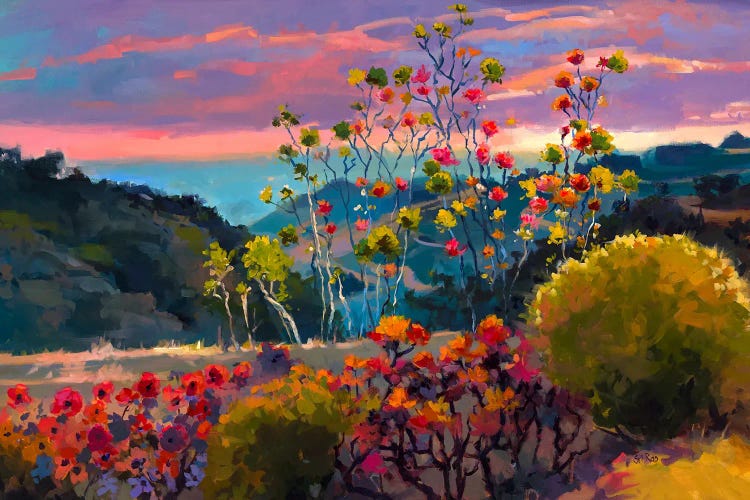 Sunlit Horizon by Sri Rao wall art