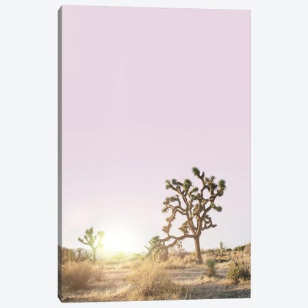 Joshua Tree Sunset Canvas Print #SSE100} by Sisi & Seb Art Print
