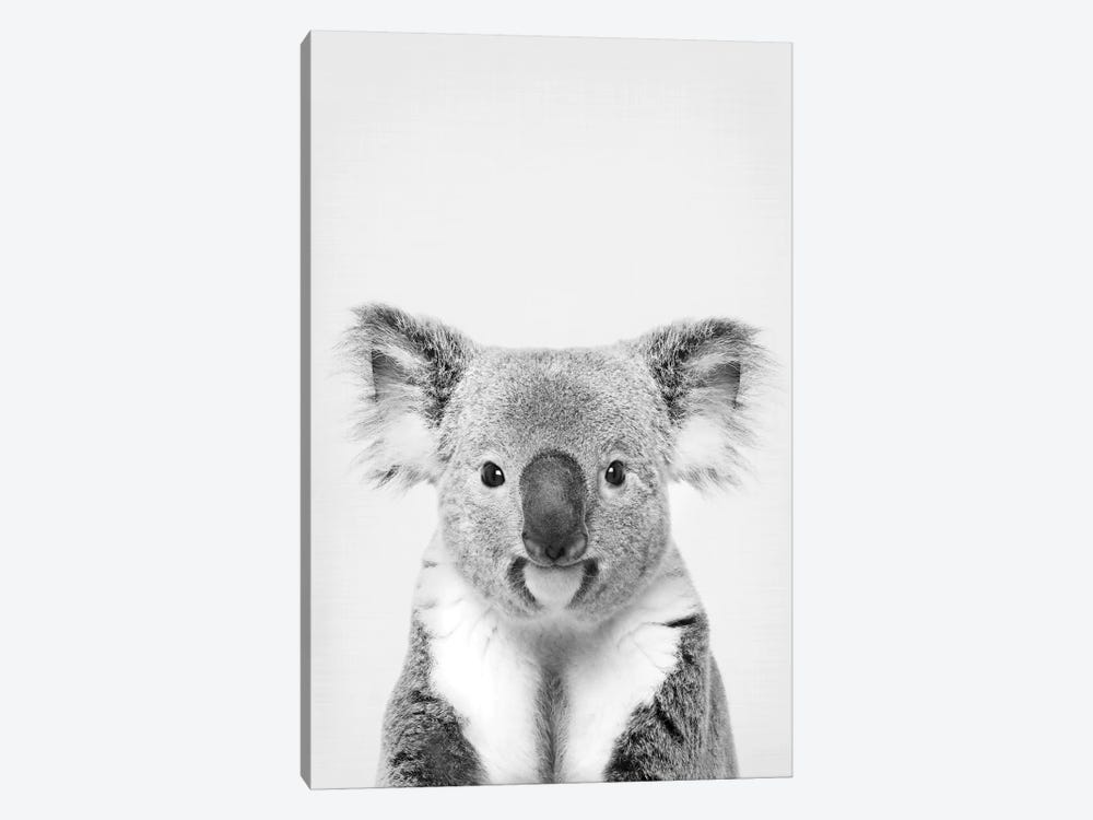 Koala by Sisi & Seb 1-piece Art Print