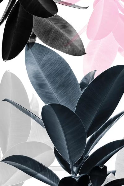 Leaf Play by Sisi & Seb metal wall art