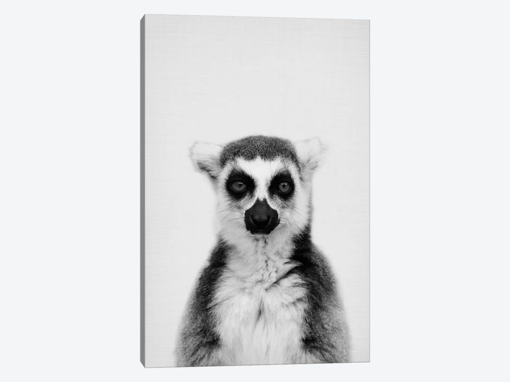 Lemur by Sisi & Seb 1-piece Canvas Print