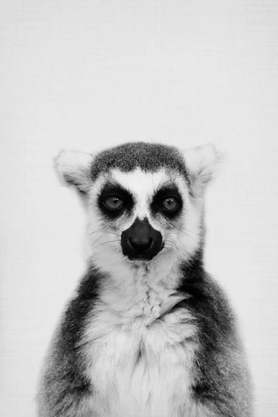 Sisi & Seb: Lemur by Sisi & Seb
