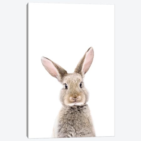 Baby Bunny Canvas Print #SSE10} by Sisi & Seb Canvas Art