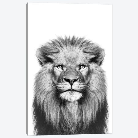 Lion In Black & White Canvas Print #SSE110} by Sisi & Seb Canvas Art