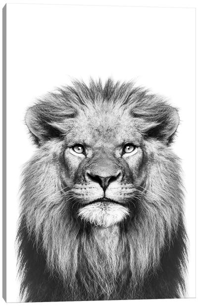 Lion In Black & White Canvas Art Print - Sisi & Seb