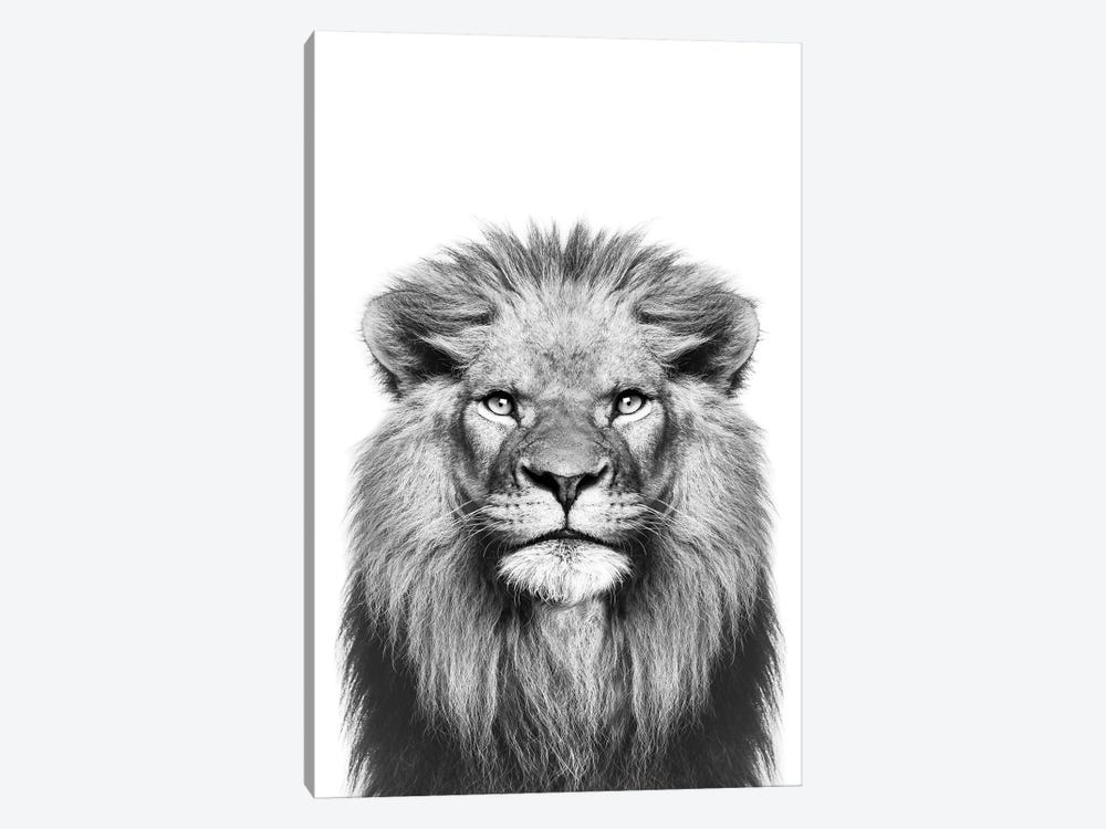 Lion In Black & White by Sisi & Seb 1-piece Art Print