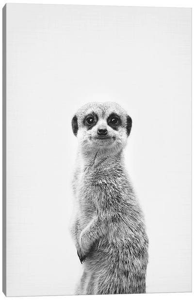 Meerkat Canvas Art Print - Black & White Animal Art