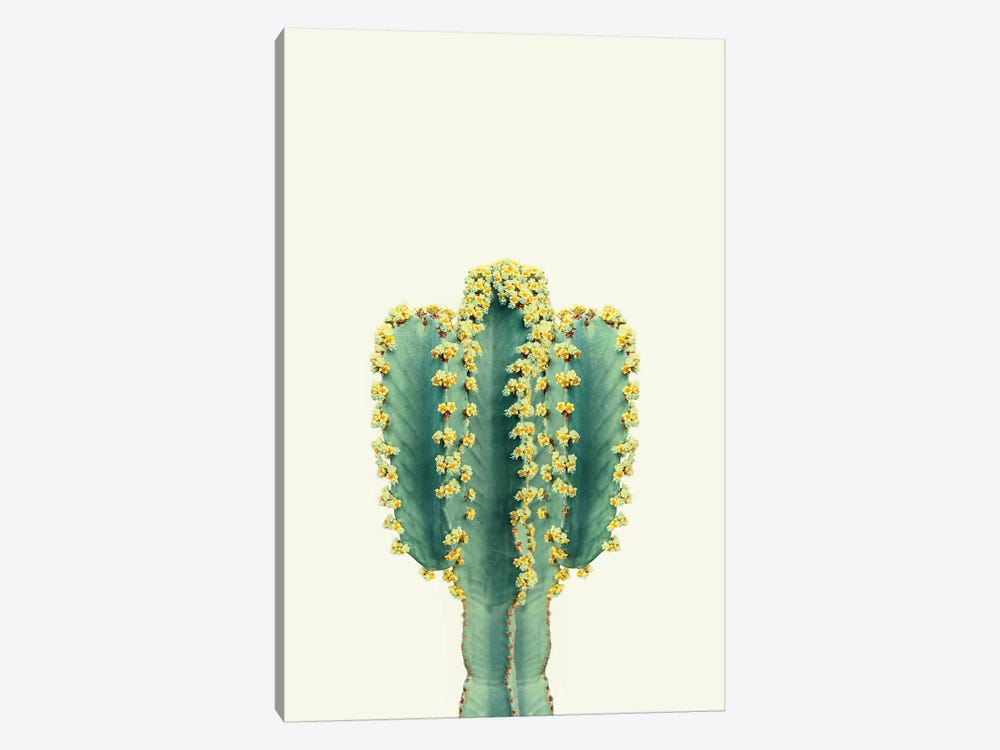 Mexican Cactus by Sisi & Seb 1-piece Art Print
