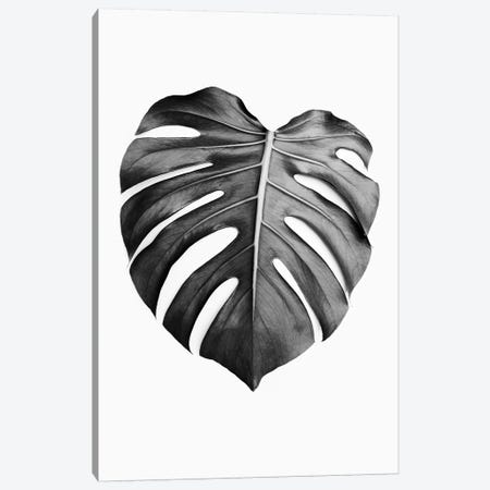 Monstera Leaf In Black & White Canvas Print #SSE122} by Sisi & Seb Art Print