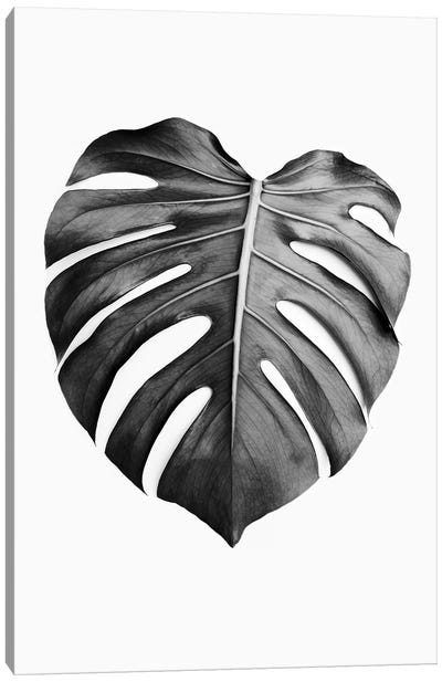 Monstera Leaf In Black & White Canvas Art Print - Monstera Art