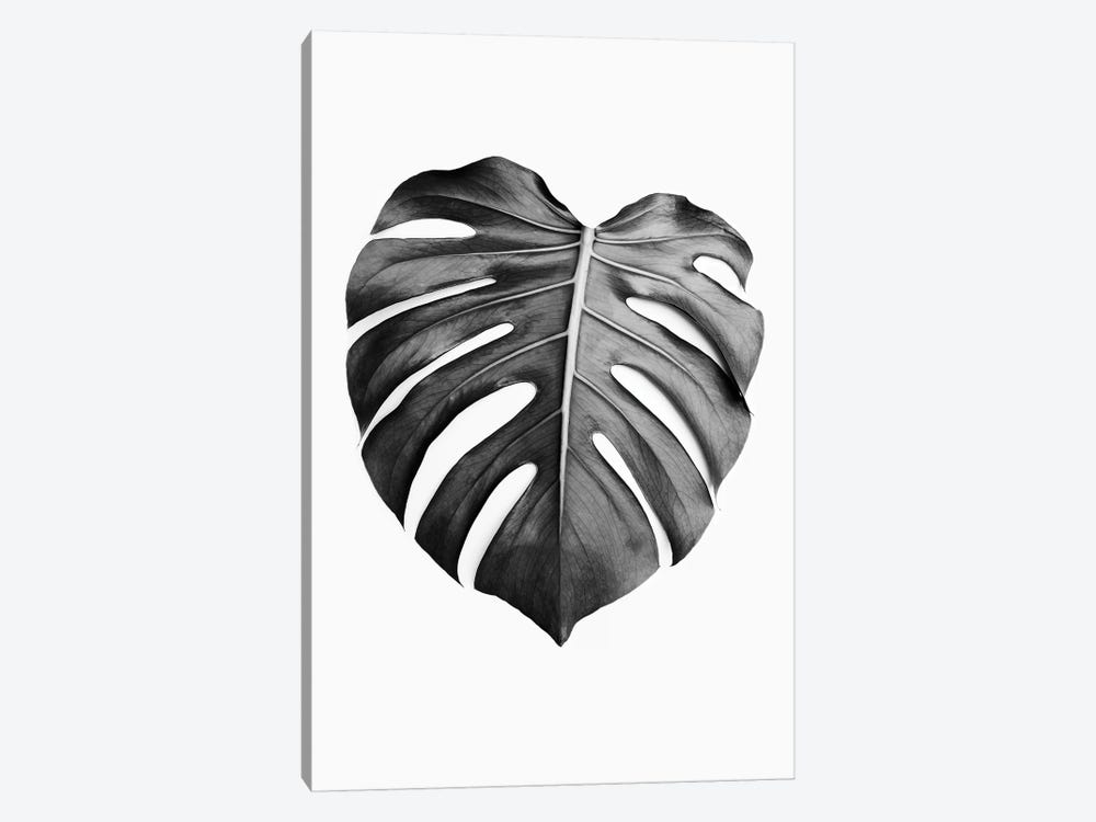 Monstera Leaf In Black & White by Sisi & Seb 1-piece Canvas Art
