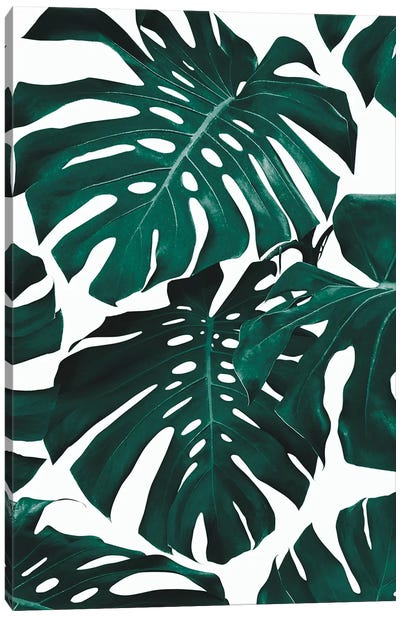 Monstera Leaf Pattern Canvas Art Print - Monstera Art