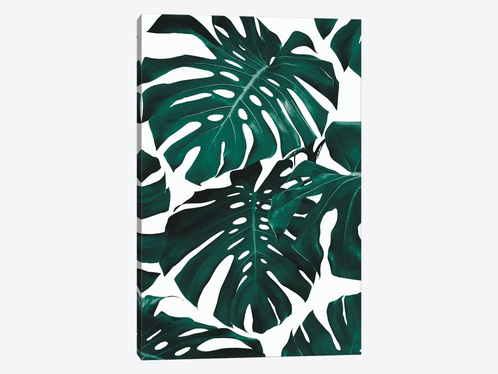 Monstera Leaf Pattern by Sisi & Seb 1-piece Art Print