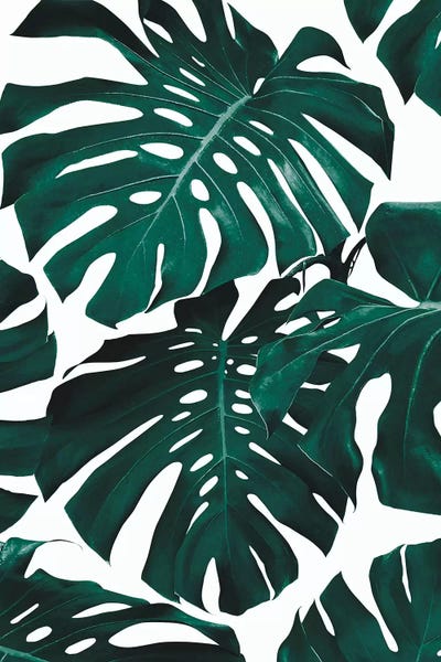 Pineapples: Monstera Leaf Pattern by Sisi & Seb