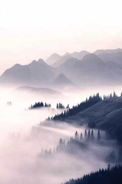 Sisi & Seb: Morning Sun by Sisi & Seb