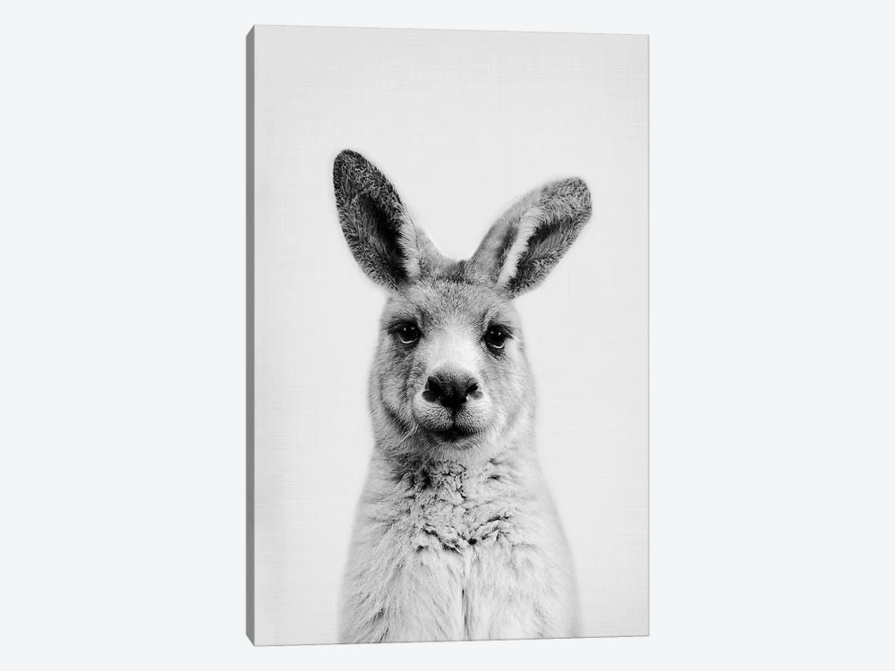 Mr. Kangaroo by Sisi & Seb 1-piece Art Print
