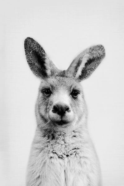 Sisi & Seb: Mr. Kangaroo by Sisi & Seb