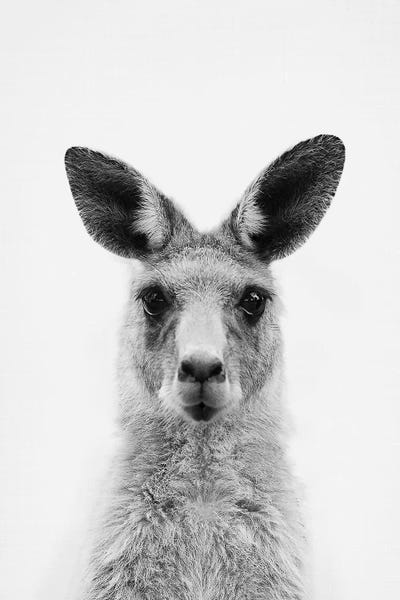 Sisi & Seb: Mrs. Kangaroo by Sisi & Seb