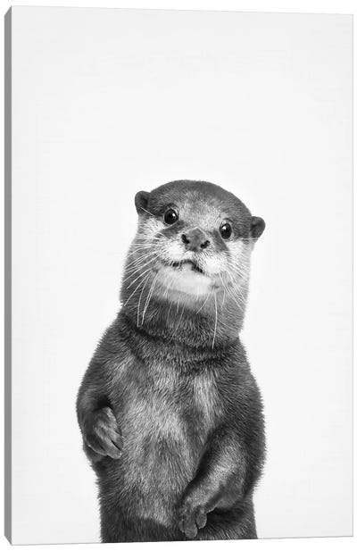 Otter Canvas Art Print - Black & White Animal Art