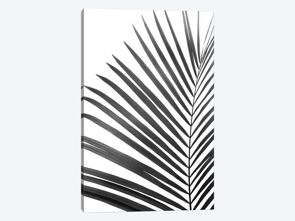 Palm Leaf In Black & White by Sisi & Seb 1-piece Canvas Artwork