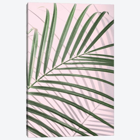 Palm Leaf Minimal Canvas Print #SSE136} by Sisi & Seb Canvas Art Print