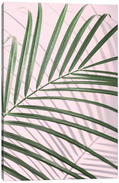 Palm Leaf Minimal Canvas Art Print - Sisi & Seb