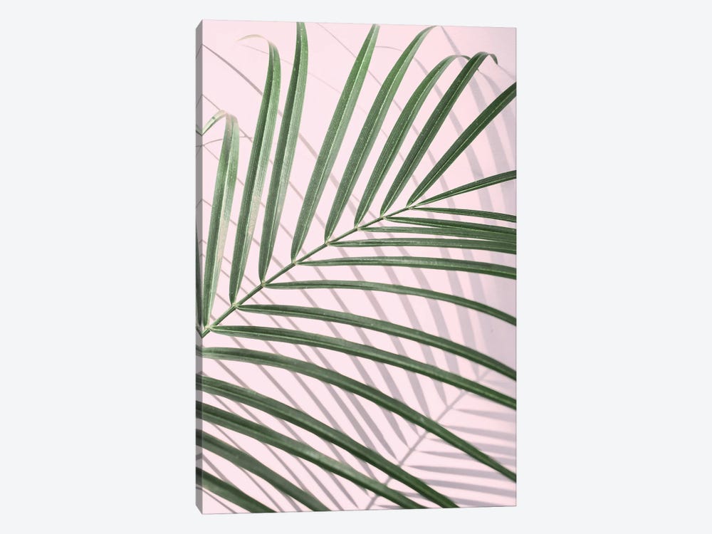 Palm Leaf Minimal by Sisi & Seb 1-piece Art Print