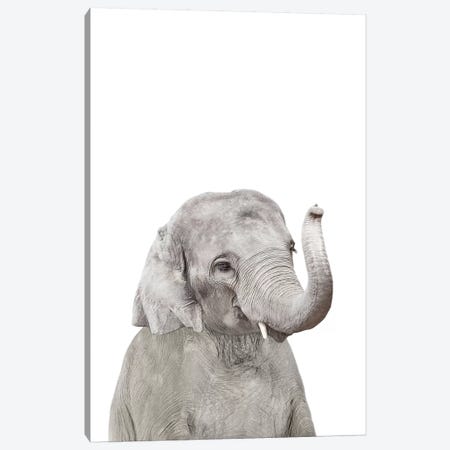 Baby Elephant Canvas Print #SSE13} by Sisi & Seb Canvas Wall Art
