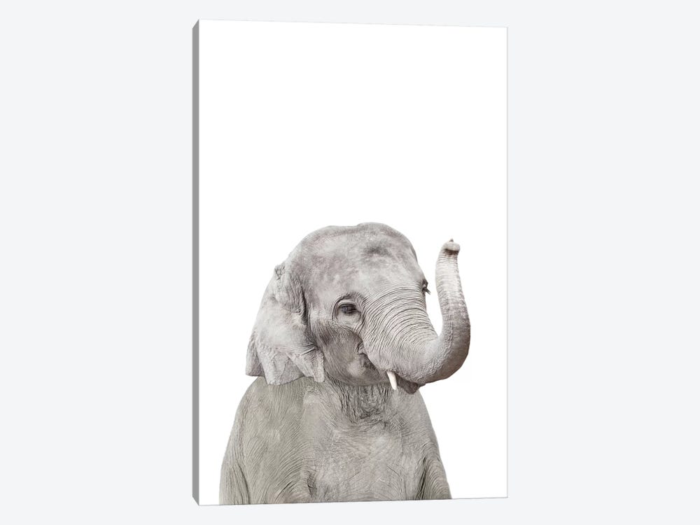 ELEPHANT CANVAS WALL ART PICTURE PRINT BROWN framed A2 