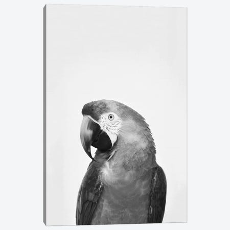 Parrot In Black & White Canvas Print #SSE141} by Sisi & Seb Canvas Print