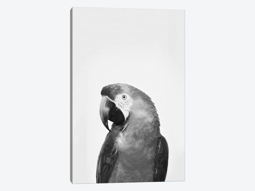 Parrot In Black & White by Sisi & Seb 1-piece Canvas Art Print