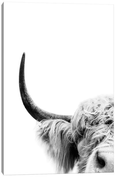 Peeking Cow II Canvas Art Print - Black & White Animal Art