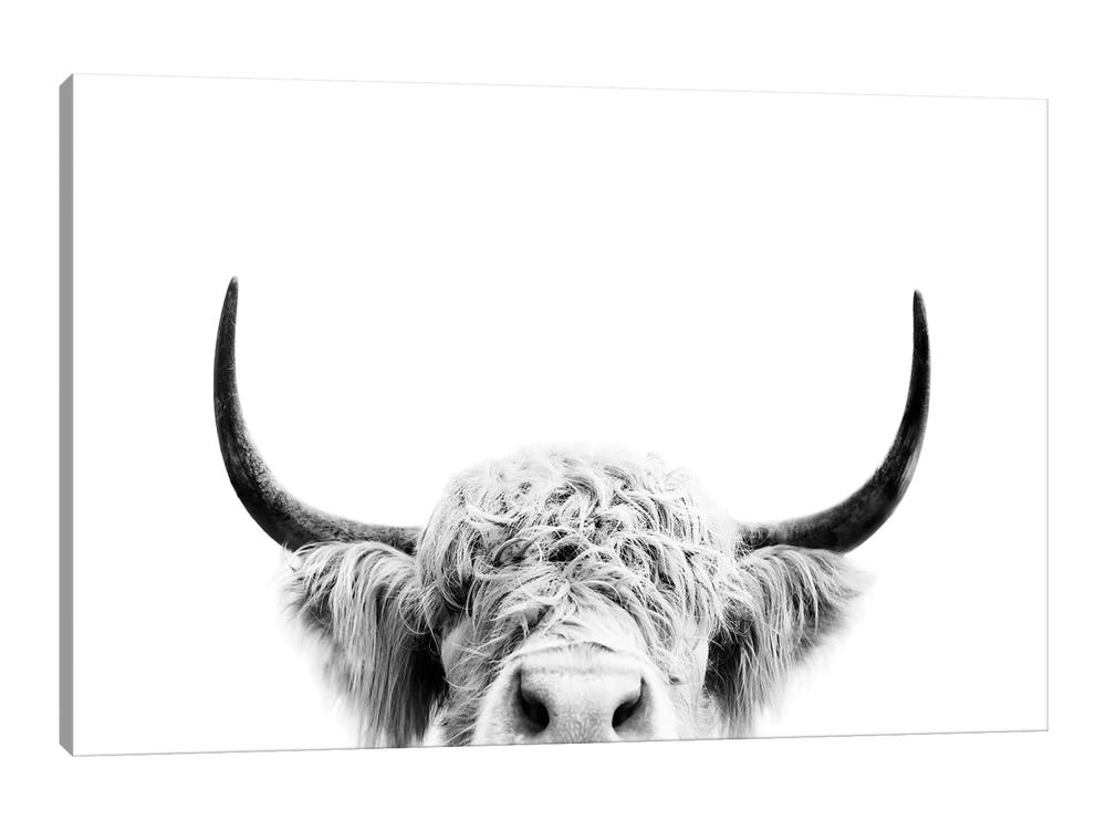 Black and White Cow Paper
