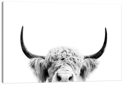 Peeking Cow In Black & White Canvas Art Print - Farmhouse Kitchen Art