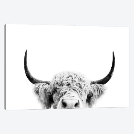 Peeking Cow In Black & White Canvas Print #SSE149} by Sisi & Seb Canvas Print