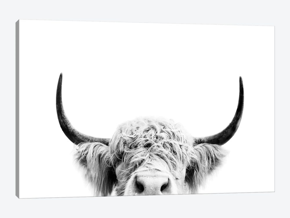 Peeking Cow In Black & White 1-piece Canvas Print