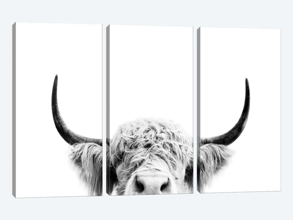 Peeking Cow In Black & White by Sisi & Seb 3-piece Art Print