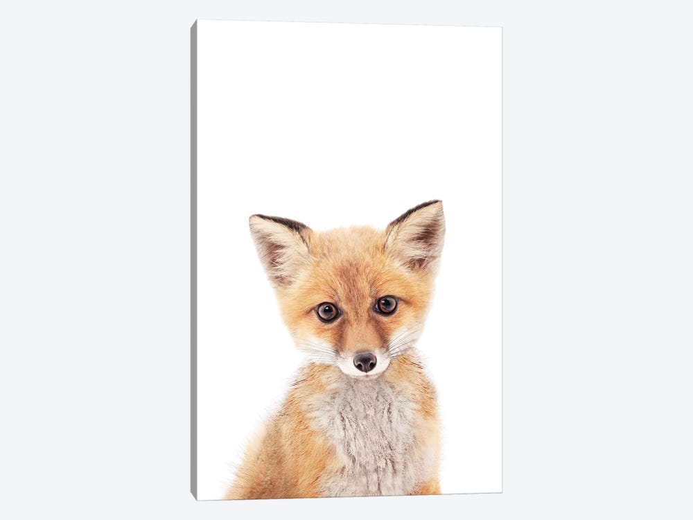 baby fox stencil