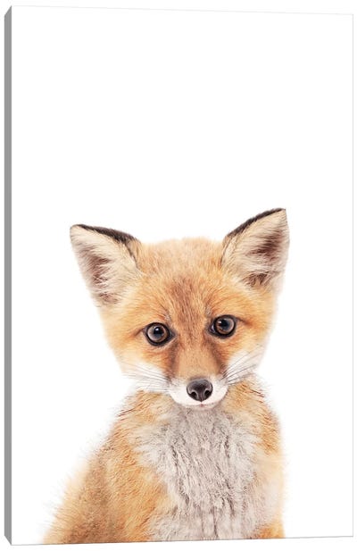 Baby Fox Canvas Art Print - Nursery Room Art