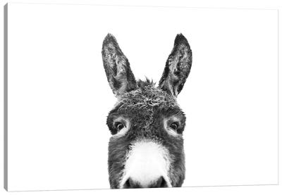 Peeking Donkey In Black & White Canvas Art Print - Modern Farmhouse Décor