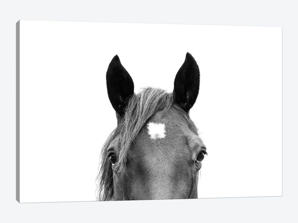 Peeking Horse In Black & White by Sisi & Seb 1-piece Canvas Print
