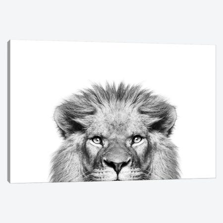 Peeking Lion Canvas Print #SSE153} by Sisi & Seb Canvas Art