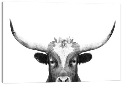 Peeking Long Horn In Black & White Canvas Art Print - Black & White Animal Art