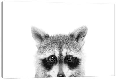 Peeking Raccoon Canvas Art Print - Black & White Animal Art