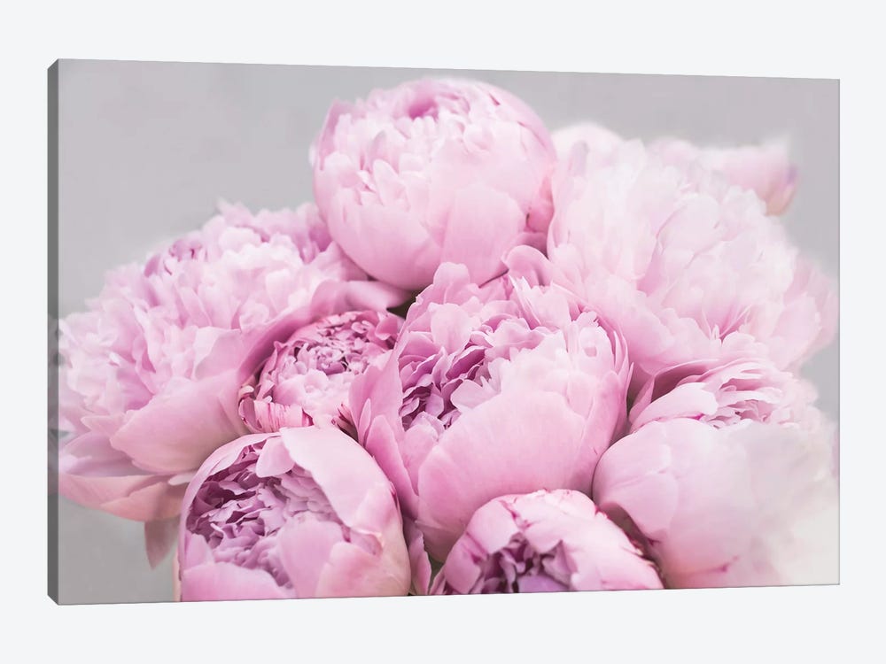 Peonies by Sisi & Seb 1-piece Canvas Art