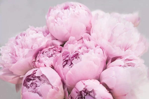 Sisi & Seb: Peonies by Sisi & Seb