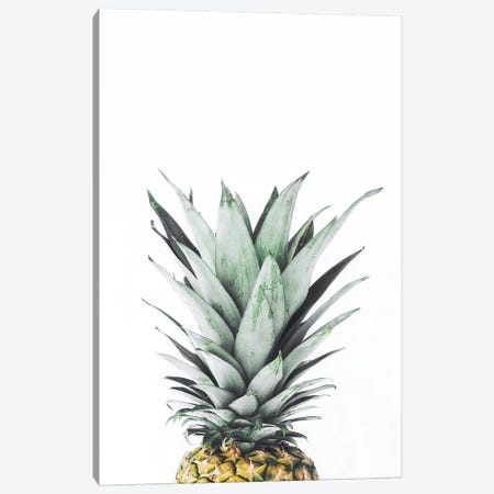 Pineapple Canvas Print #SSE158} by Sisi & Seb Canvas Art