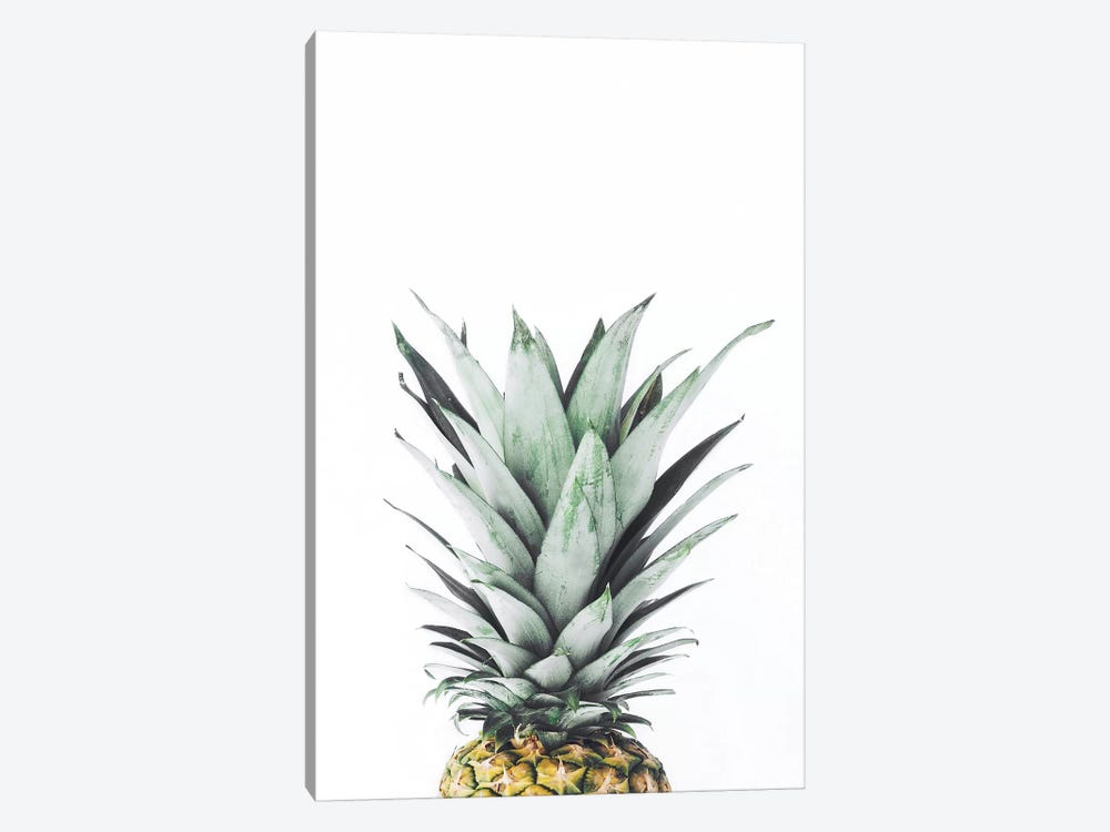 Pineapple by Sisi & Seb 1-piece Canvas Print